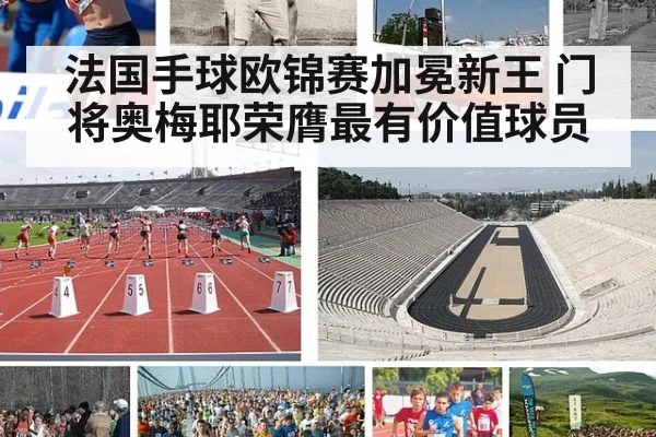 法国手球欧锦赛加冕新王 门将奥梅耶荣膺最有价值球员